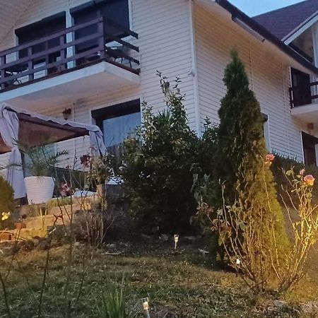 Casa Irina Villa Piatra Neamţ Eksteriør bilde