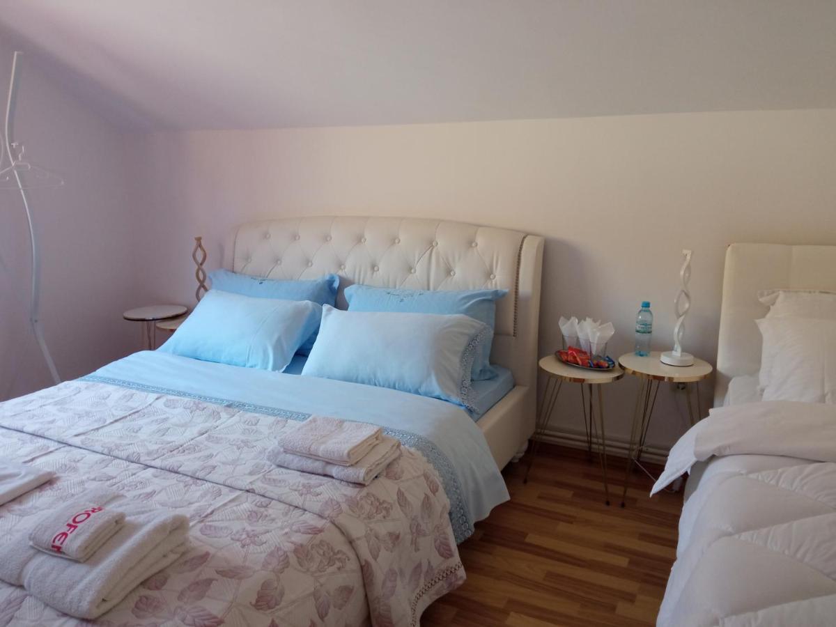 Casa Irina Villa Piatra Neamţ Eksteriør bilde