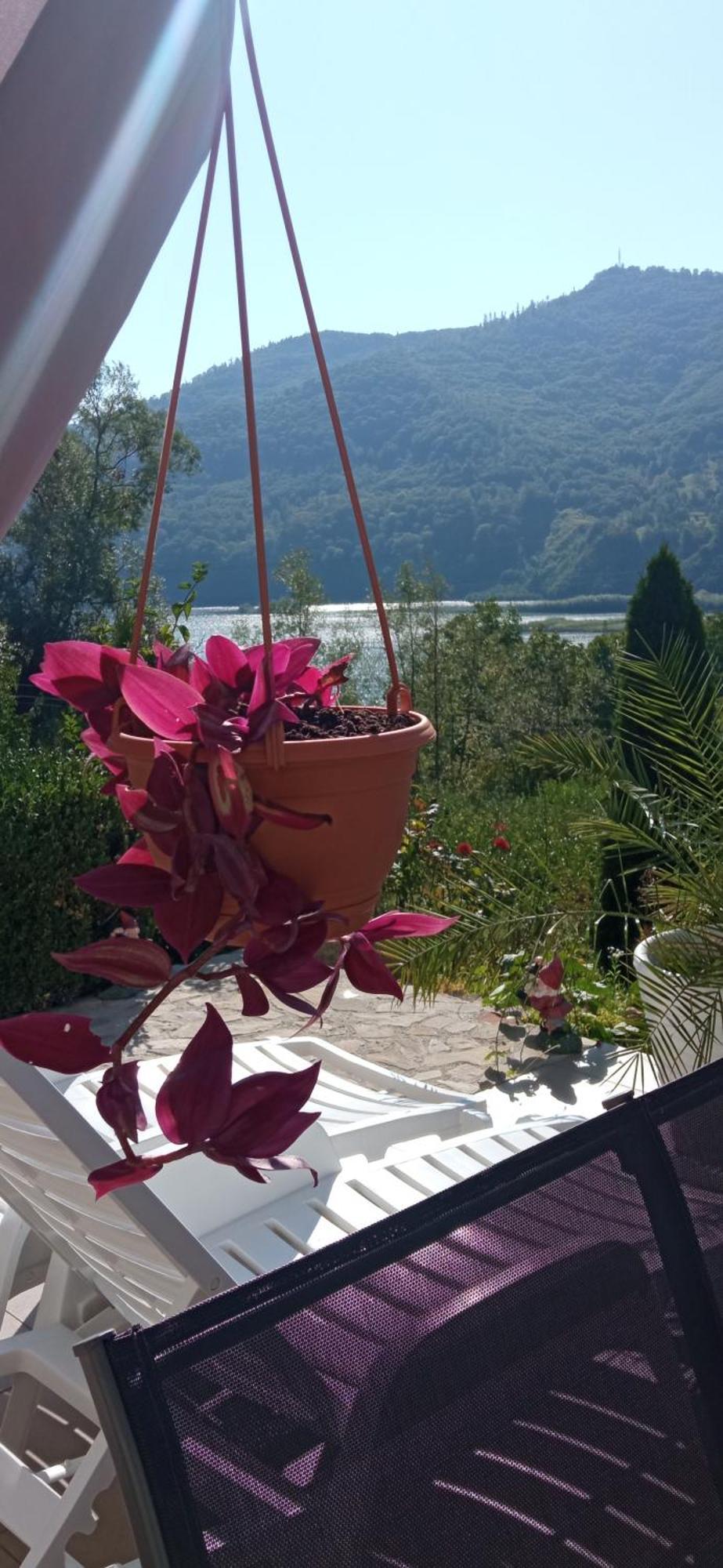 Casa Irina Villa Piatra Neamţ Eksteriør bilde