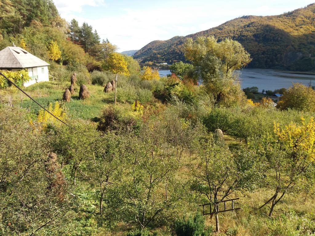 Casa Irina Villa Piatra Neamţ Eksteriør bilde