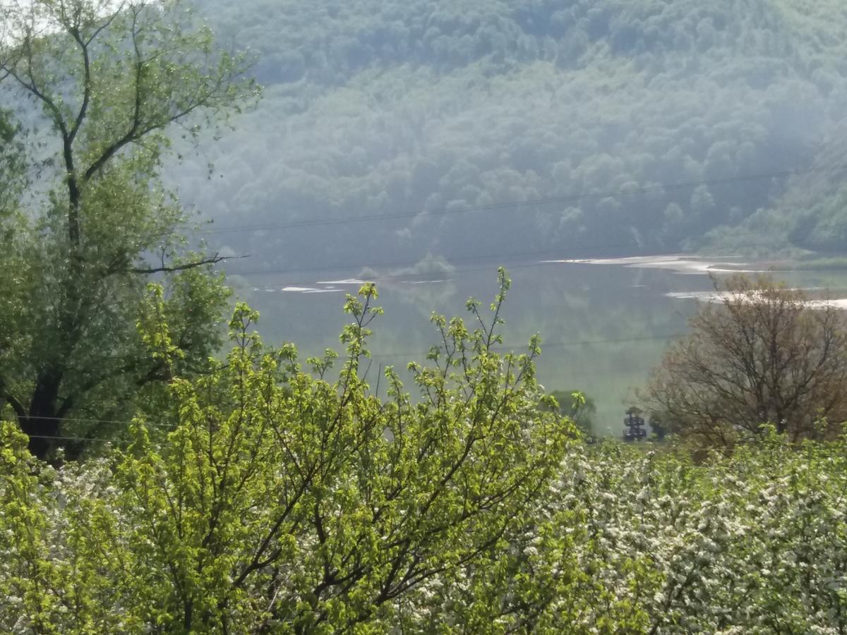 Casa Irina Villa Piatra Neamţ Eksteriør bilde